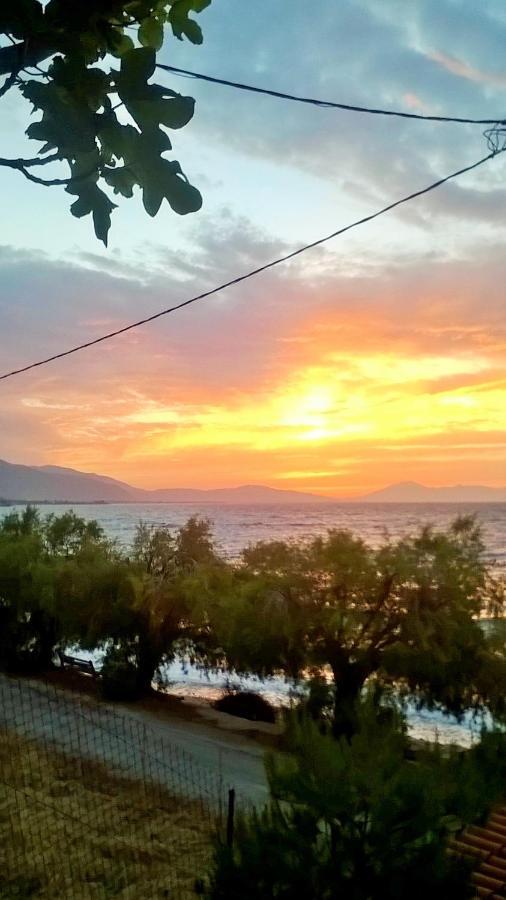 Paralia Platanou Seaview House المظهر الخارجي الصورة